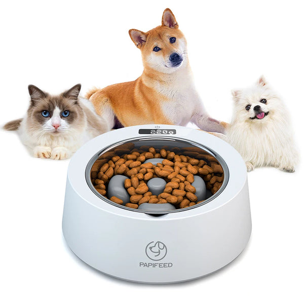 Smart Pet Feeder with LCD Display and Stainless Steel Bowl